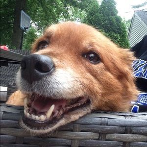 Meet your Posher, Ciara